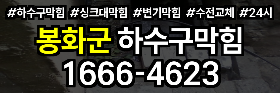 봉화군 하수구 막힘