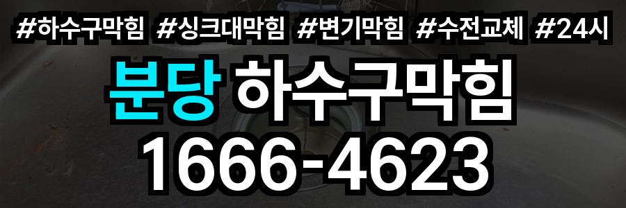 분당 하수구 막힘