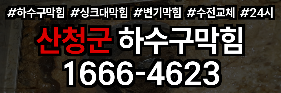 산청군 하수구 막힘