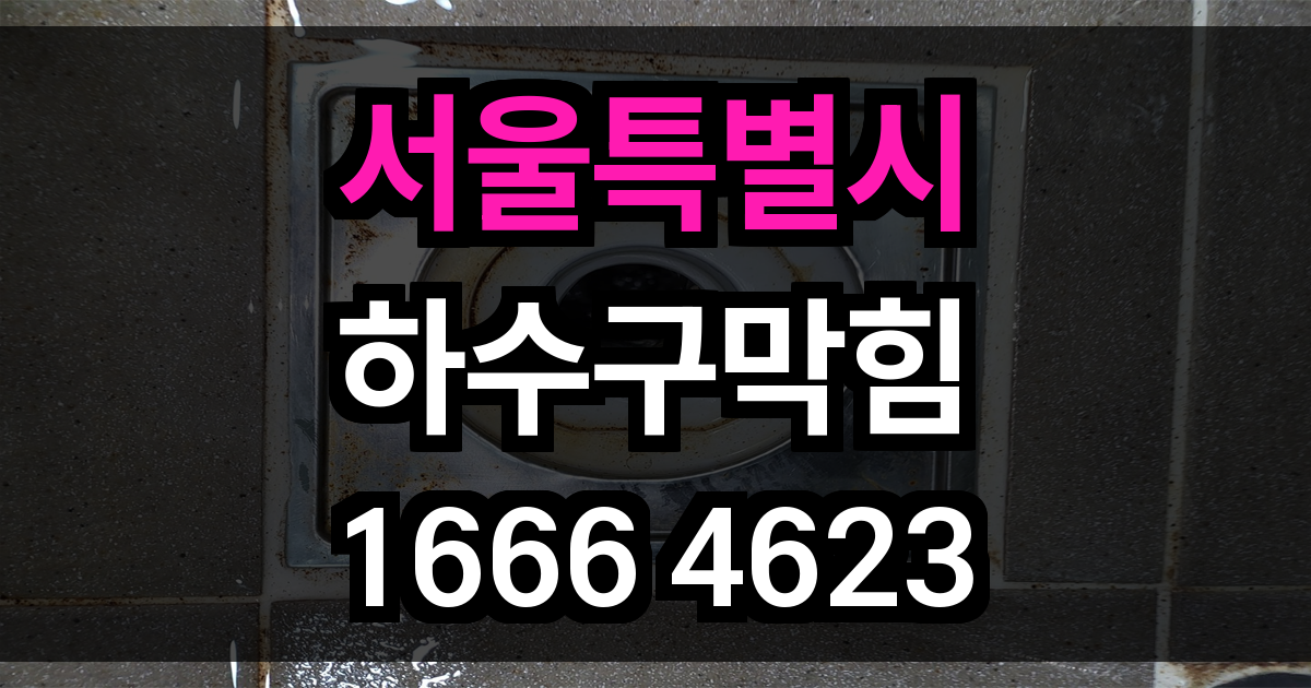서울특별시 하수구 막힘