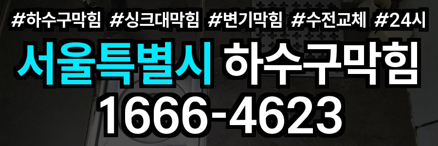 서울특별시 하수구 막힘