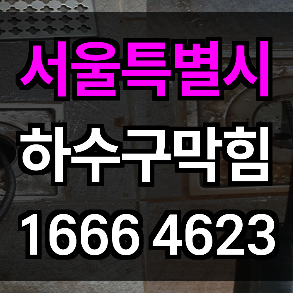 서울특별시 하수구 막힘