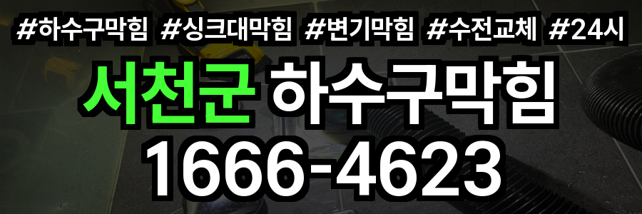 서천군 하수구 막힘