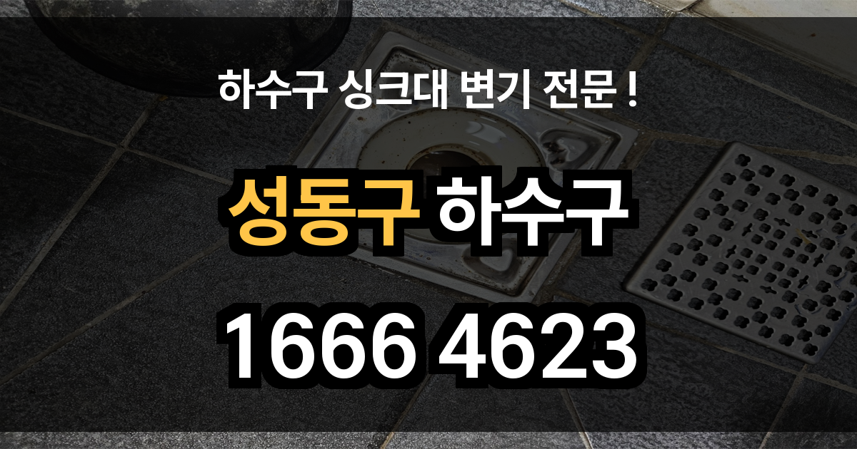 성동구 하수구 막힘