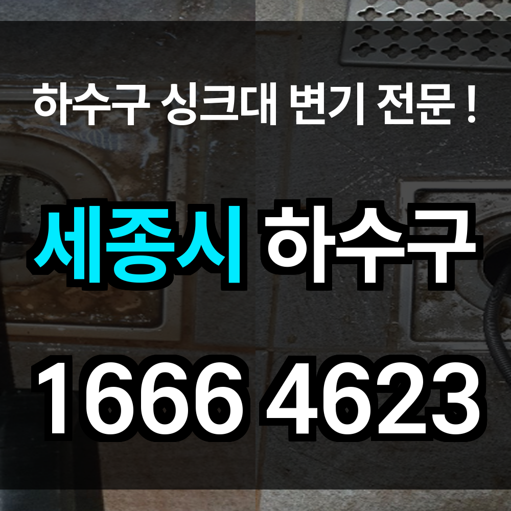 세종시 하수구 막힘