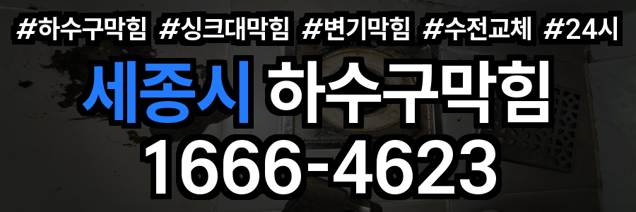 세종시 하수구 막힘
