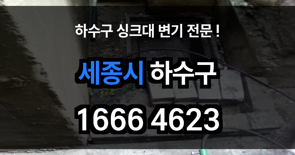 세종시 하수구 막힘