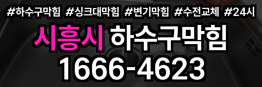 시흥시 하수구 막힘