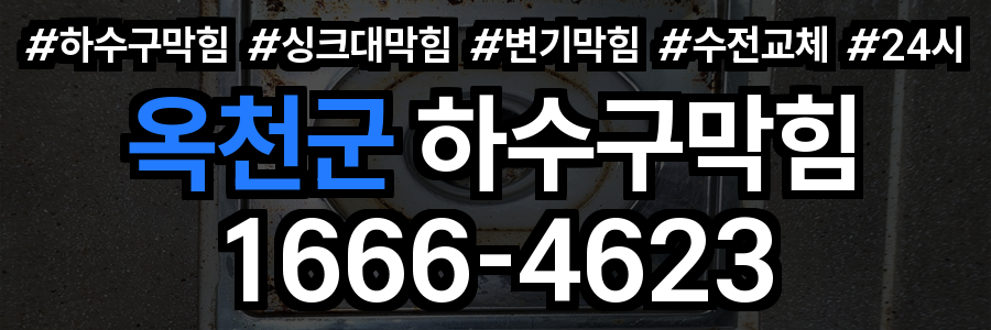 옥천군 하수구 막힘
