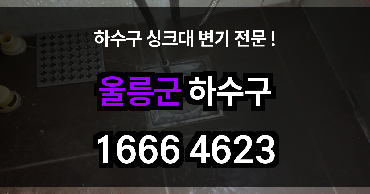 울릉군 하수구 막힘