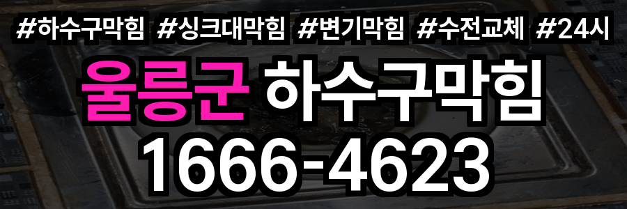 울릉군 하수구 막힘