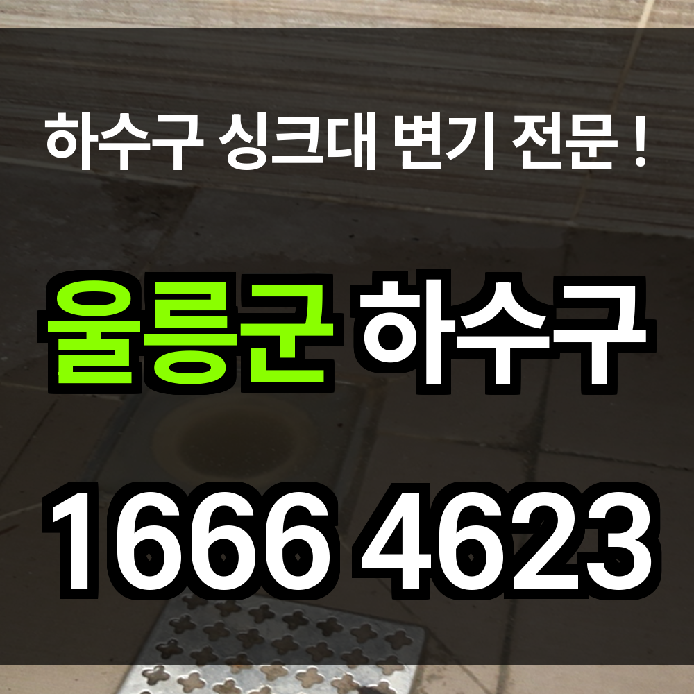 울릉군 하수구 막힘