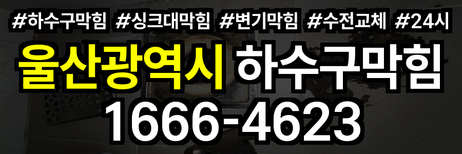울산광역시 하수구 막힘