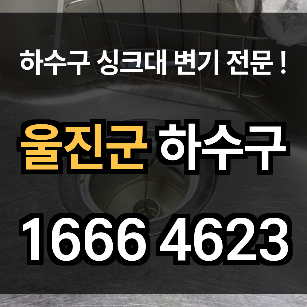 울진군 하수구 막힘