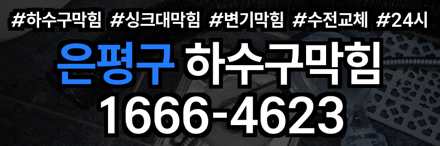 은평구 하수구 막힘