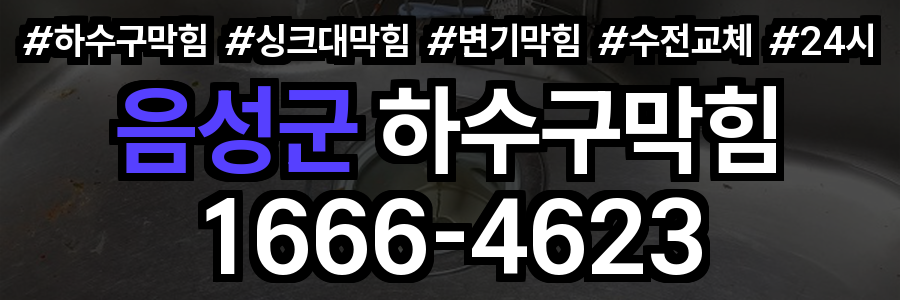 음성군 하수구 막힘
