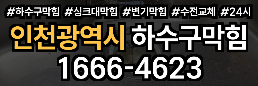 인천광역시 하수구 막힘