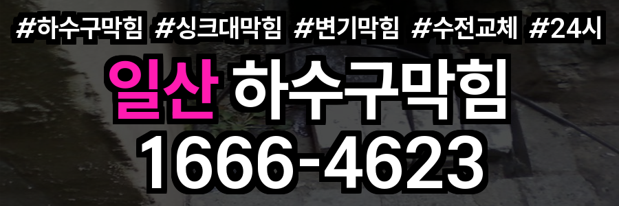 일산 하수구 막힘