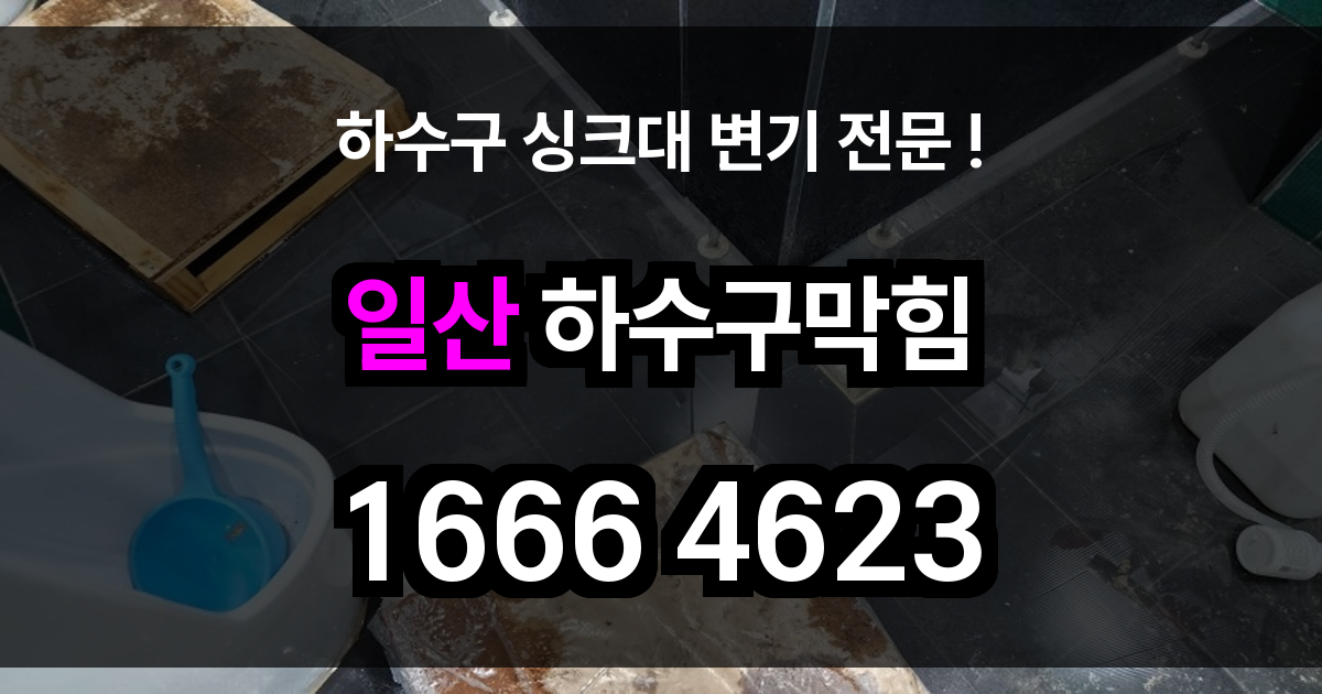 일산 하수구 막힘