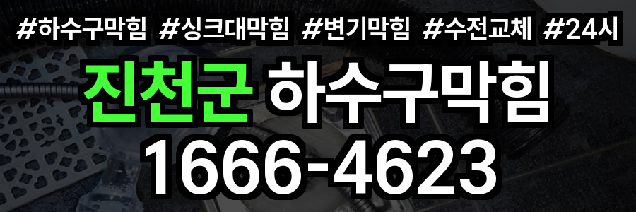 진천군 하수구 막힘