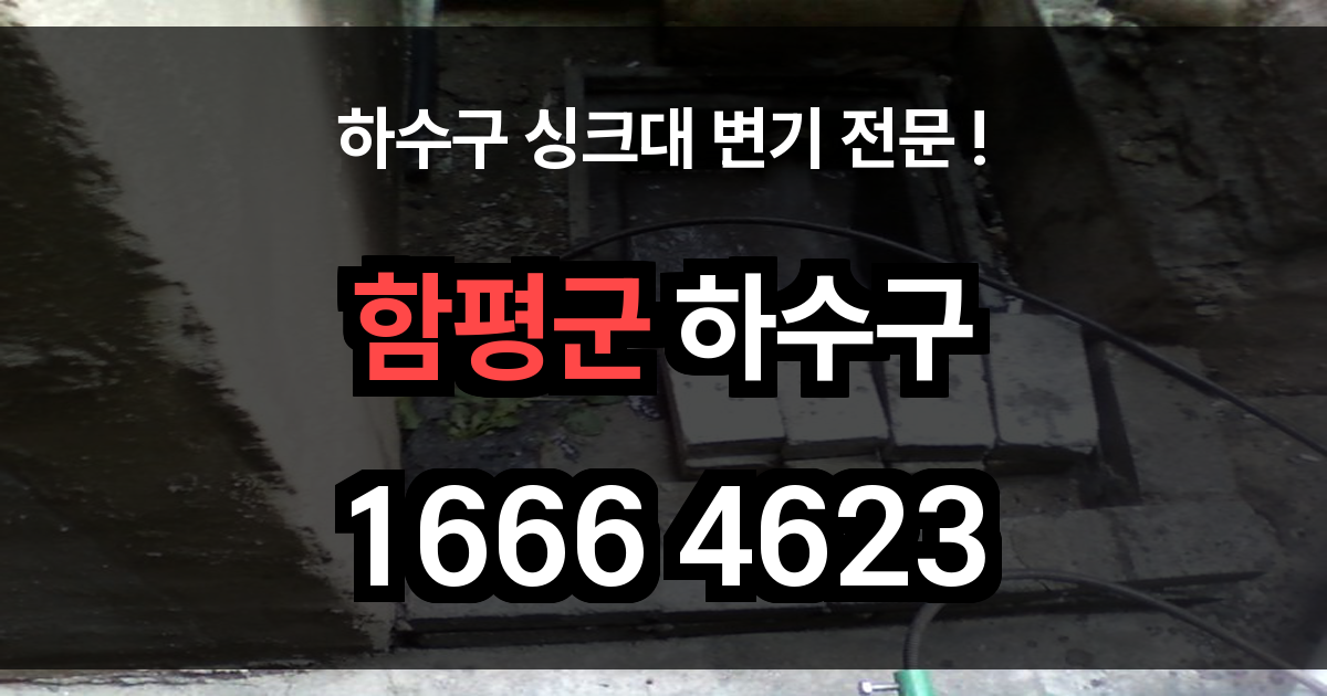 함평군 하수구 막힘