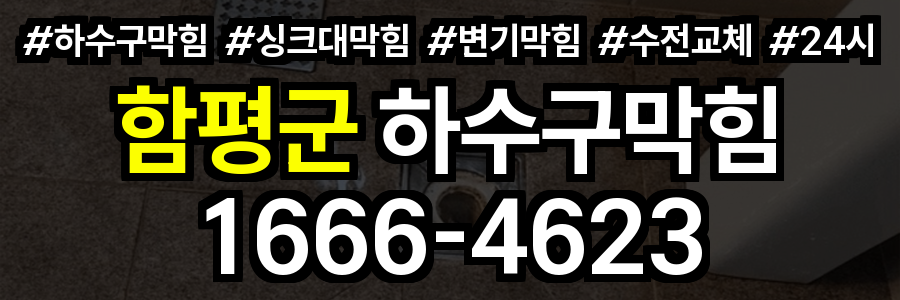 함평군 하수구 막힘