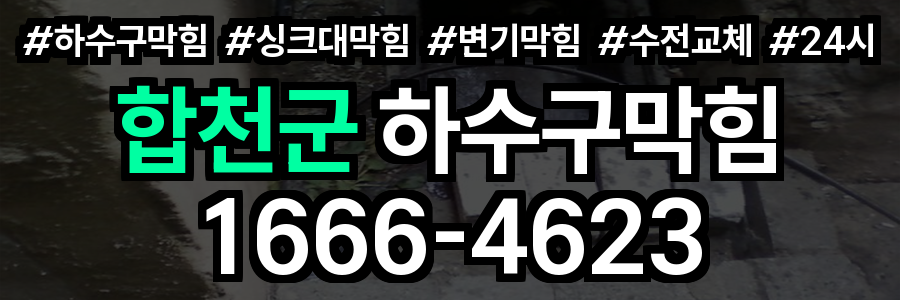 합천군 하수구 막힘