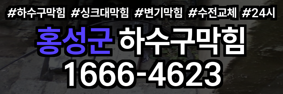 홍성군 하수구 막힘