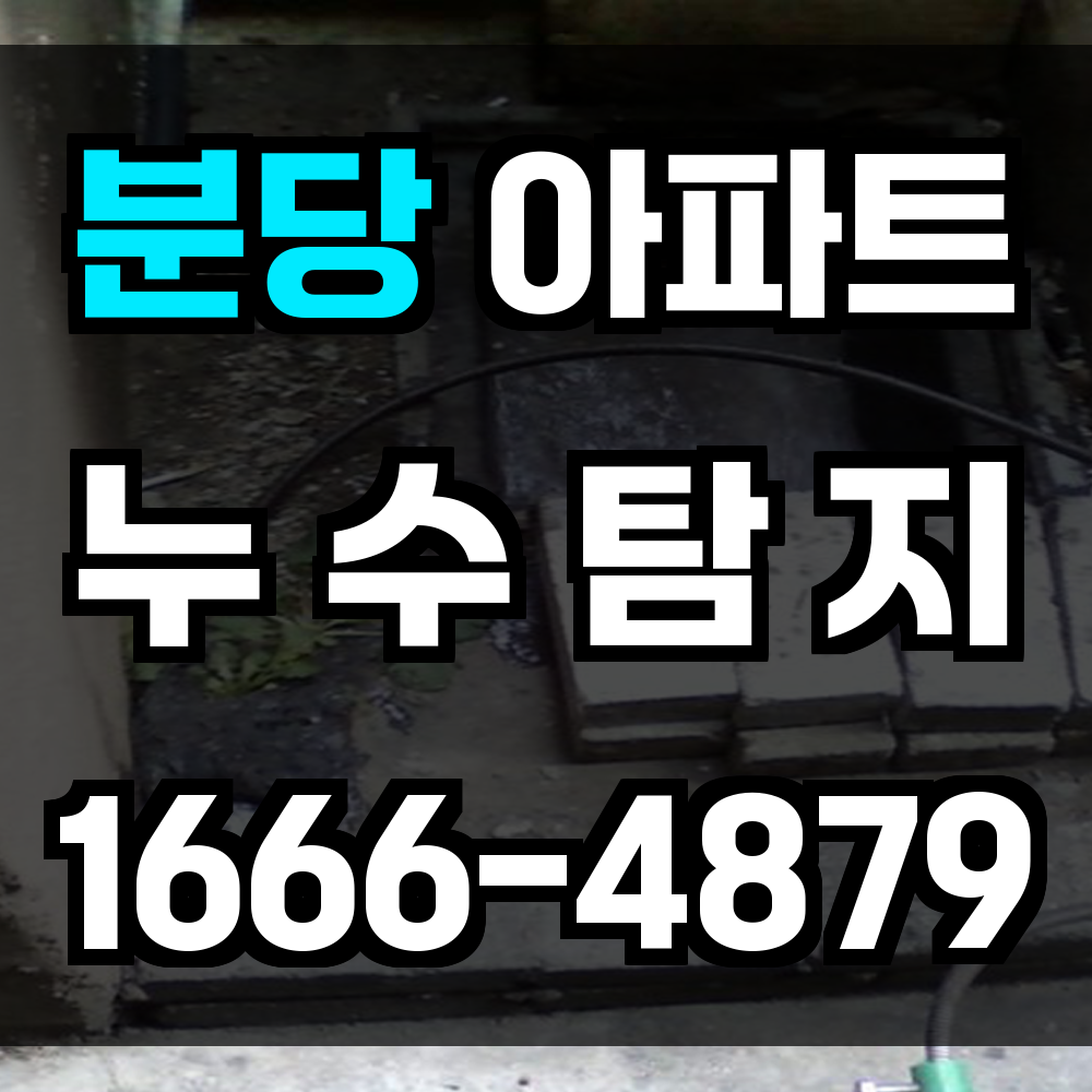 분당 아파트 누수탐지