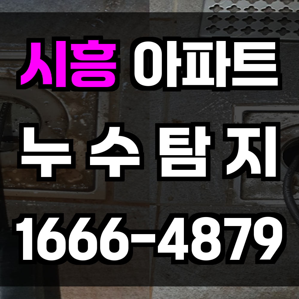 시흥 아파트 누수탐지