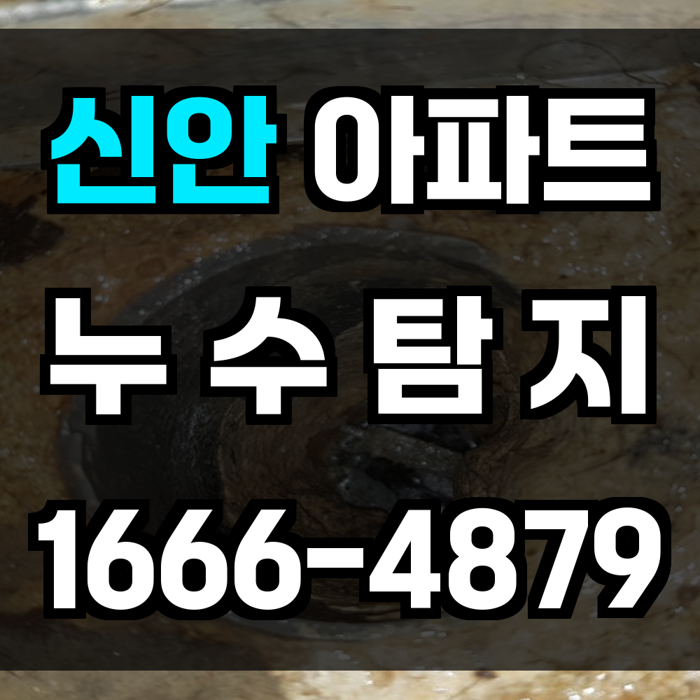 신안 아파트 누수탐지