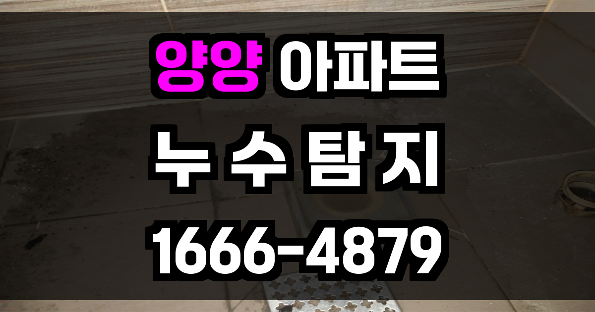 양양 아파트 누수탐지