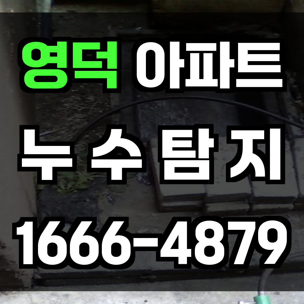영덕 아파트 누수탐지