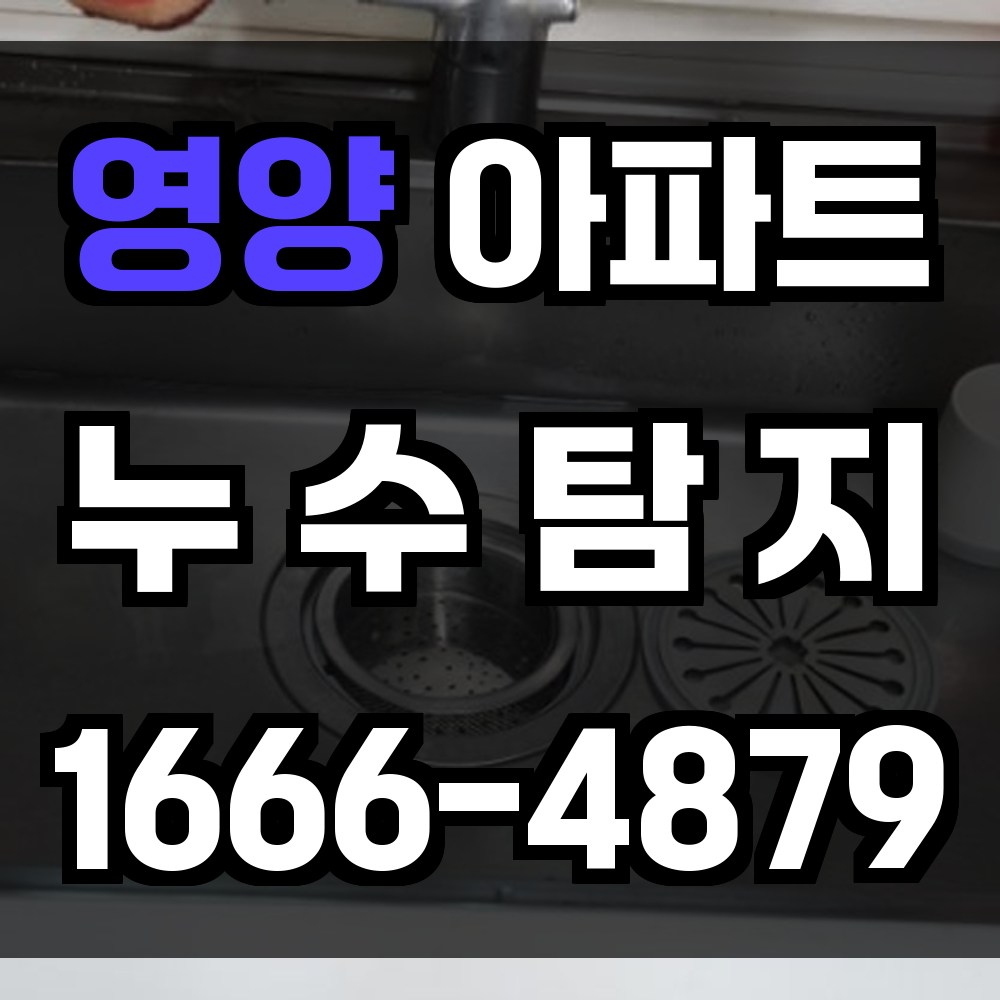 영양 아파트 누수탐지