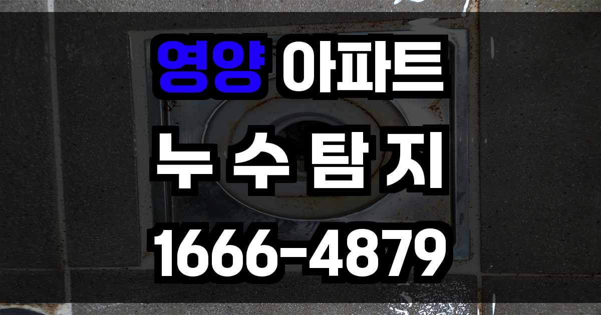 영양 아파트 누수탐지