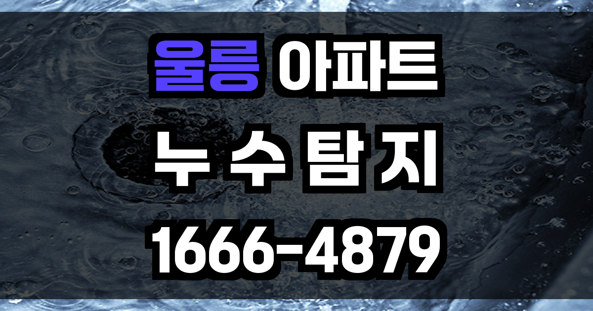 울릉 아파트 누수탐지