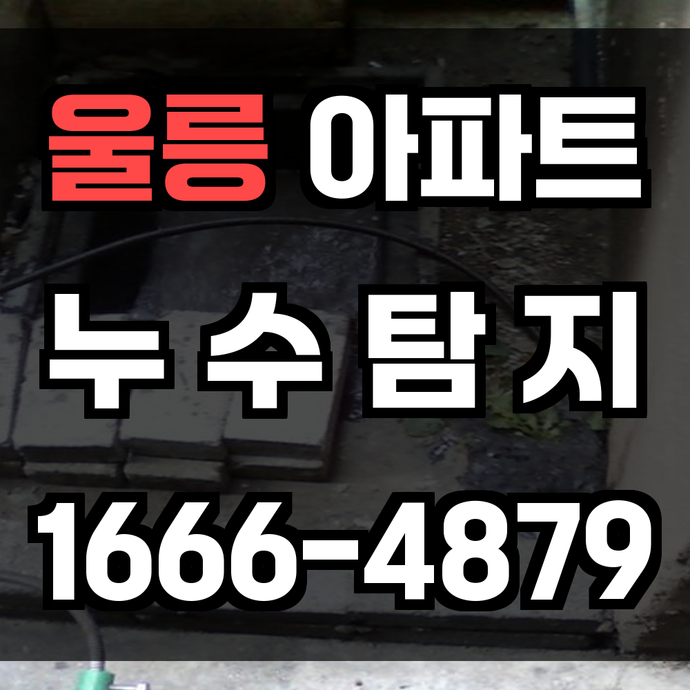 울릉 아파트 누수탐지