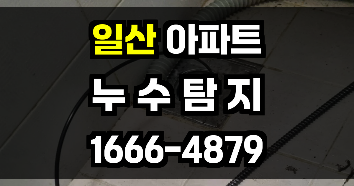 일산 아파트 누수탐지