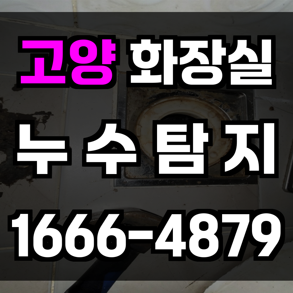 고양 화장실 누수