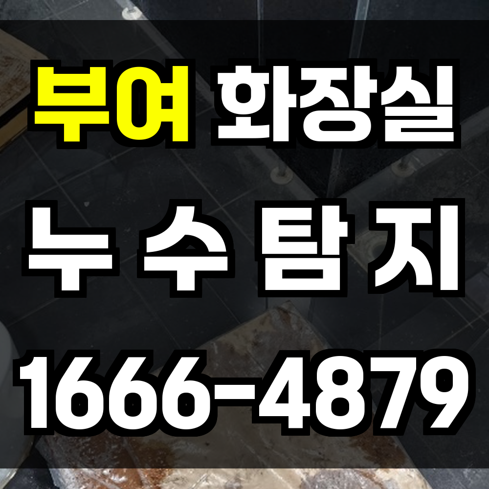 부여 화장실 누수