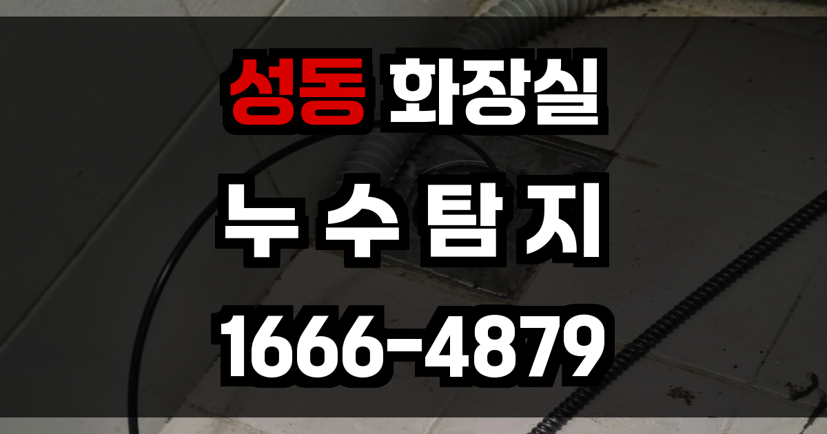 성동구 화장실 누수