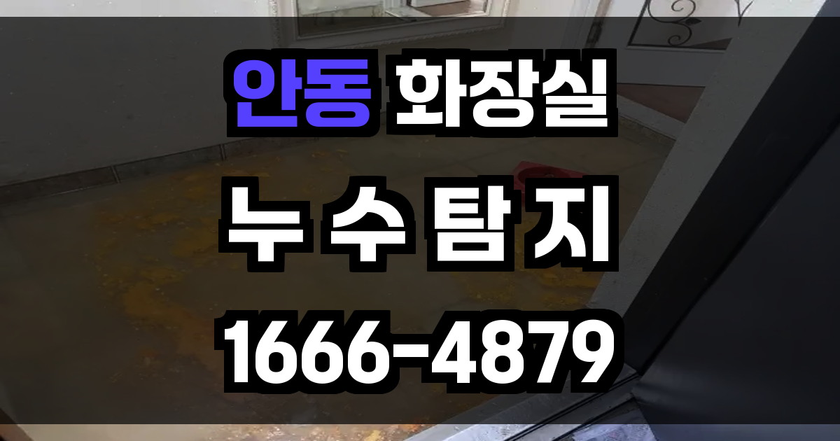 안동 화장실 누수