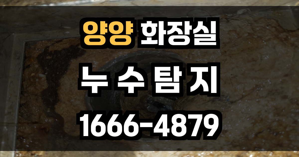 양양 화장실 누수