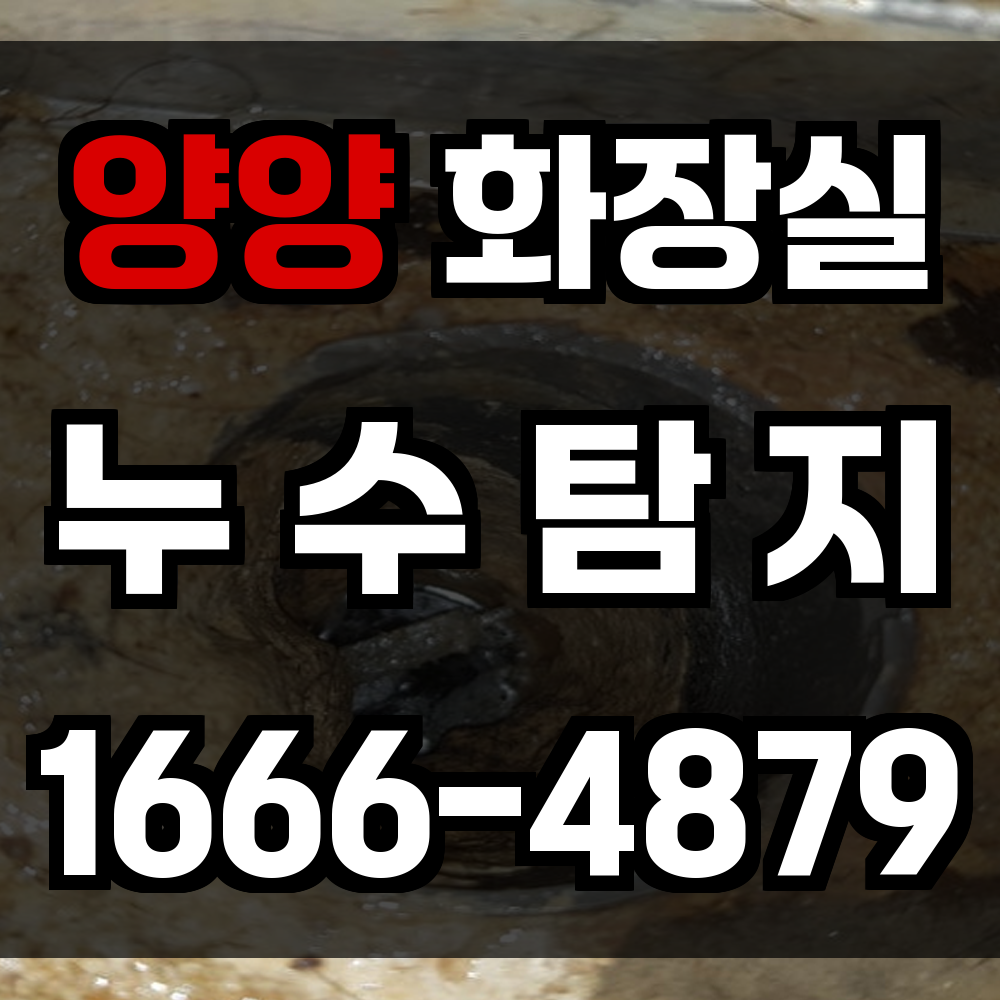 양양 화장실 누수