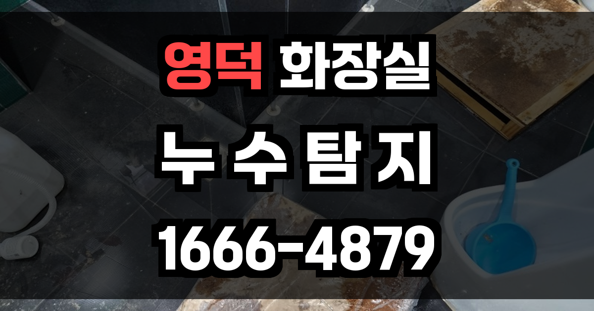 영덕군 화장실 누수