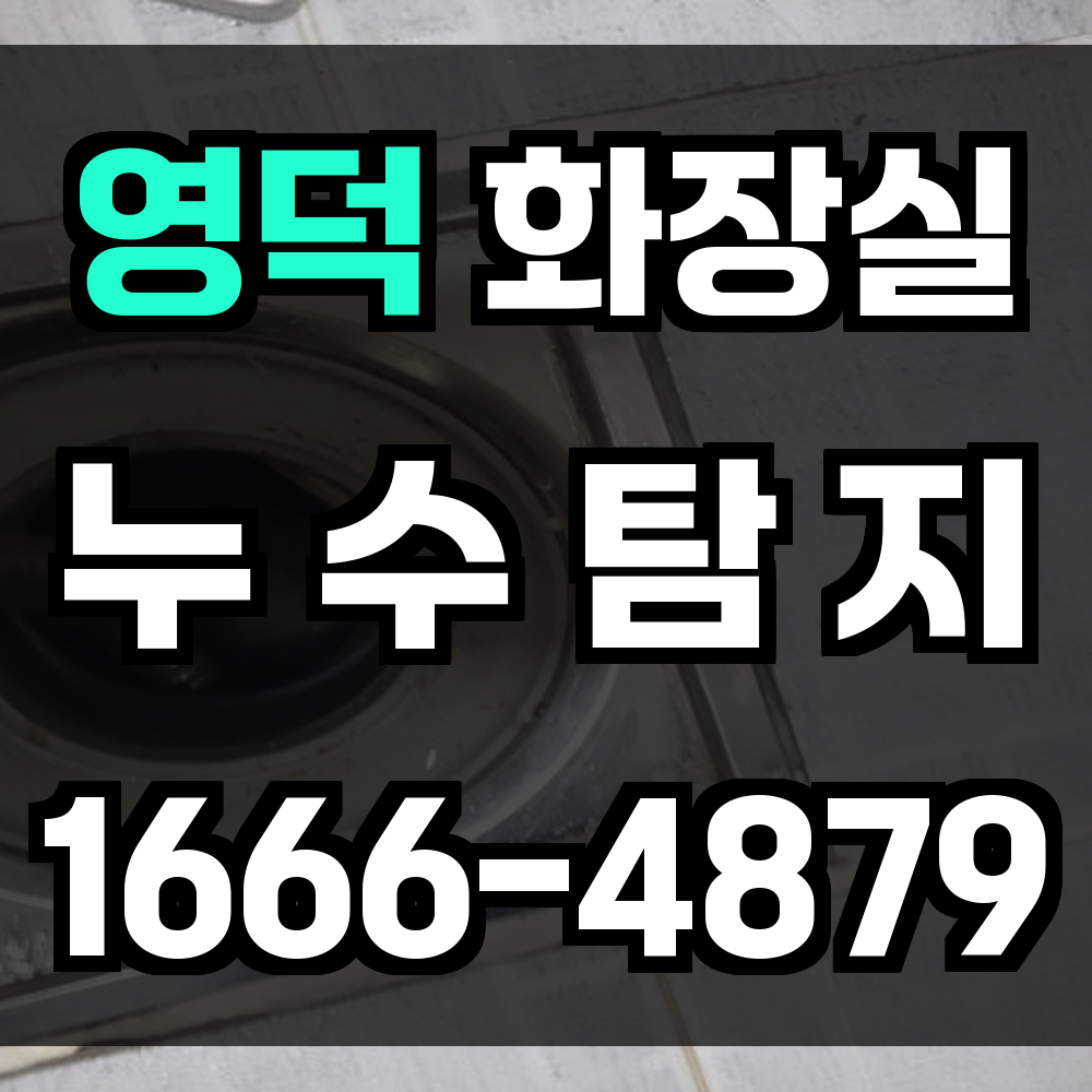 영덕군 화장실 누수