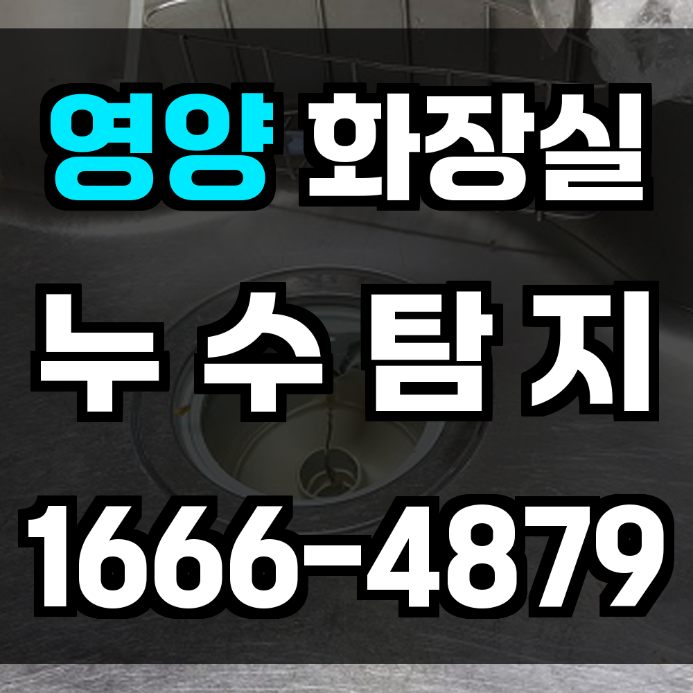 영양군 화장실 누수