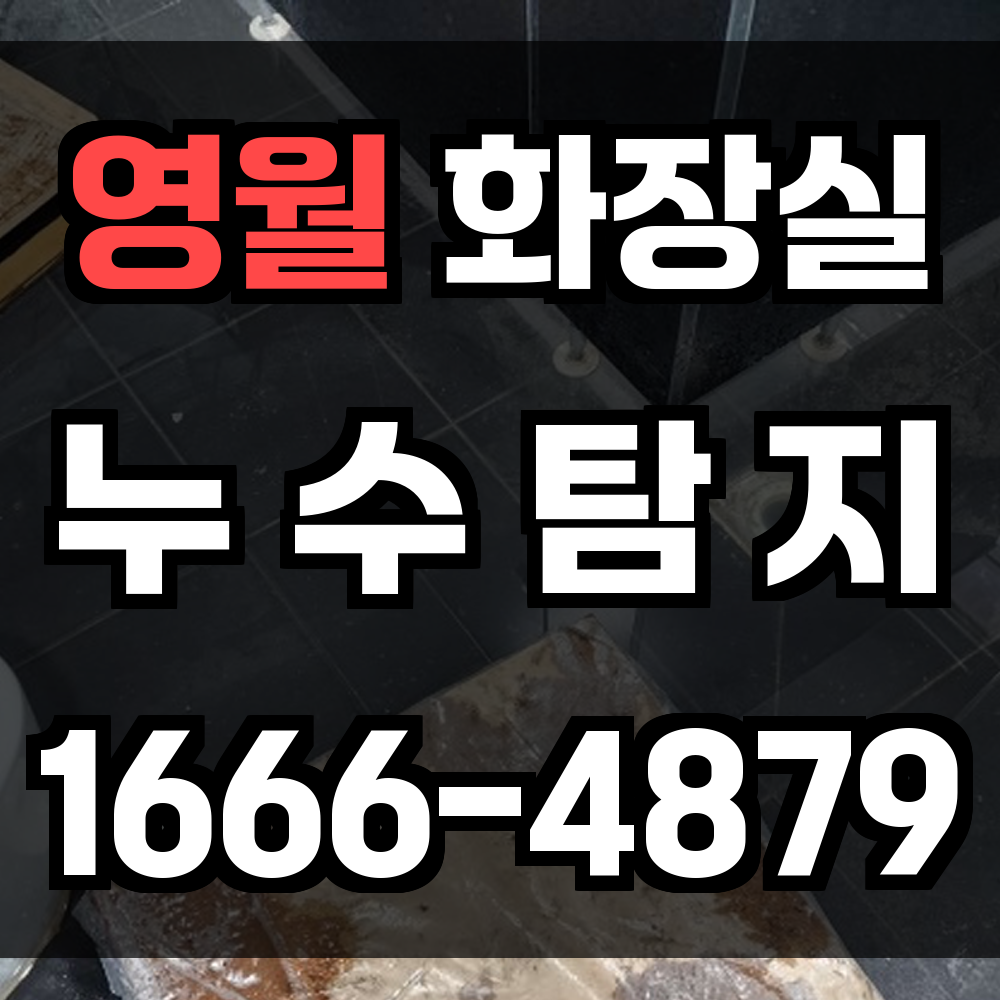 영월군 화장실 누수