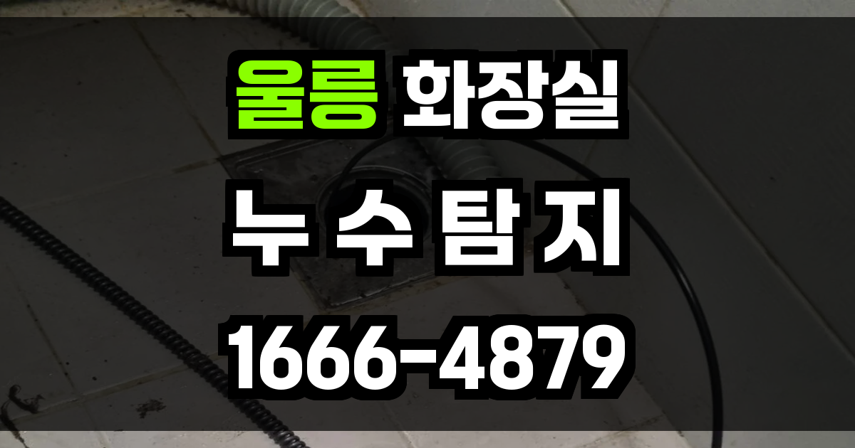 울릉 화장실 누수
