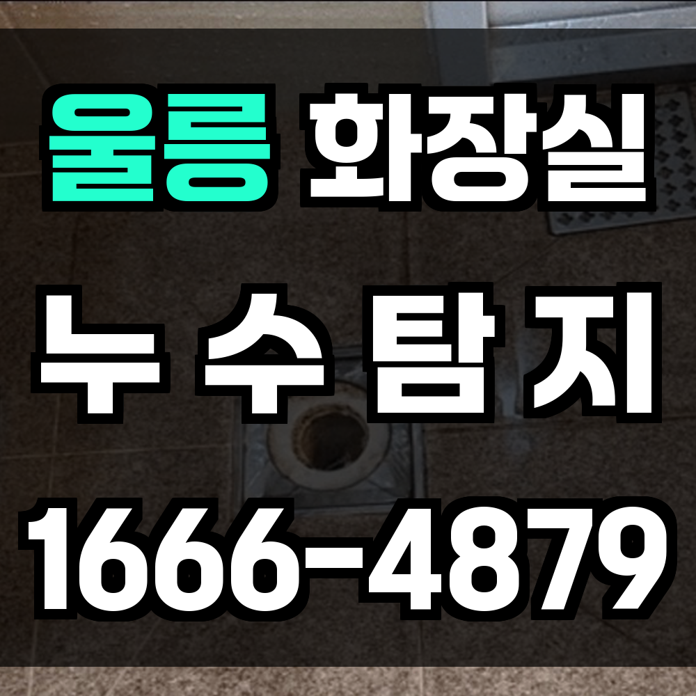 울릉 화장실 누수